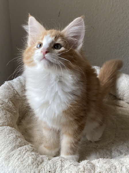 Salvador