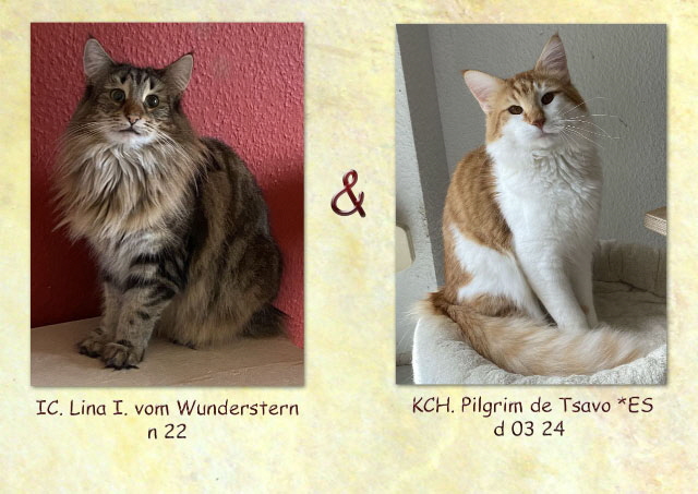 Lina und Pilgrim